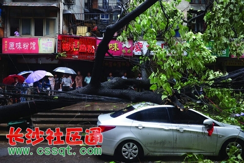 huangj1408723_nEO_IMG.jpg